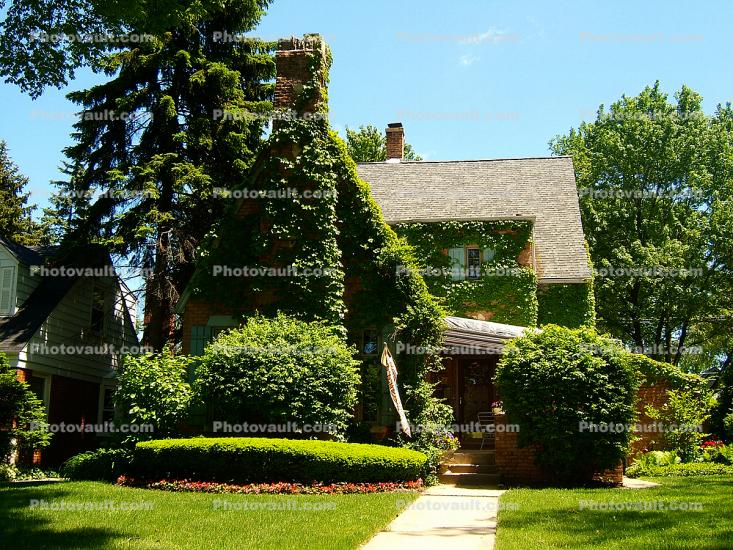Ivy Home, House, Oak Park