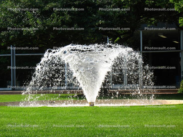University of Chicago Water Fountain, aquatics, lawn