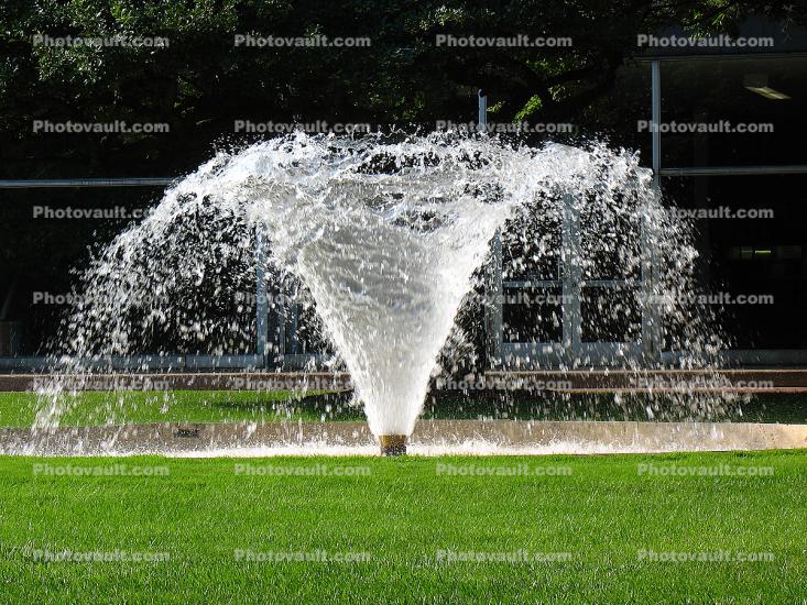 Water Fountain, aquatics, University of Chicago, lawn