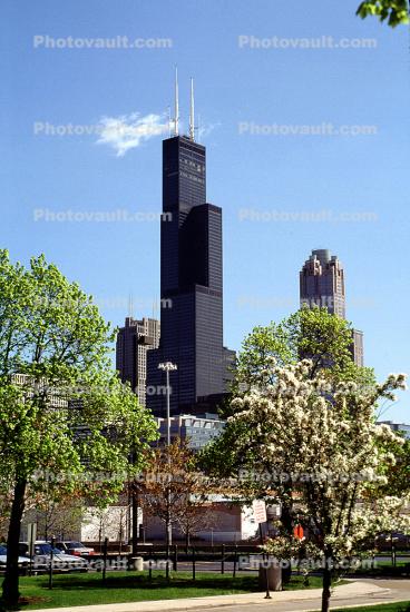 Willis Tower, springtime