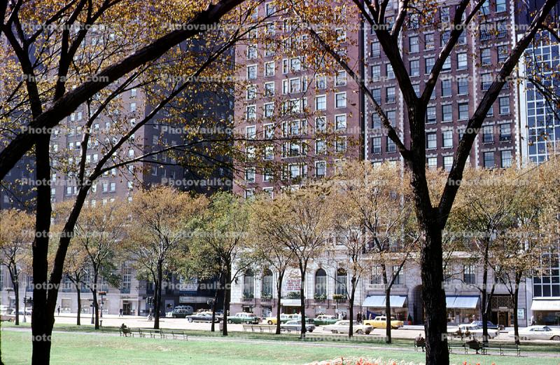 Park, buildings, trees, September 1962, 1960s
