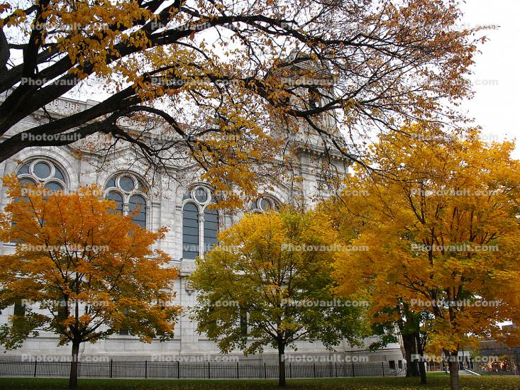  St Mary Basilica, Minneapolis, Roman Catholic minor basilica, autumn