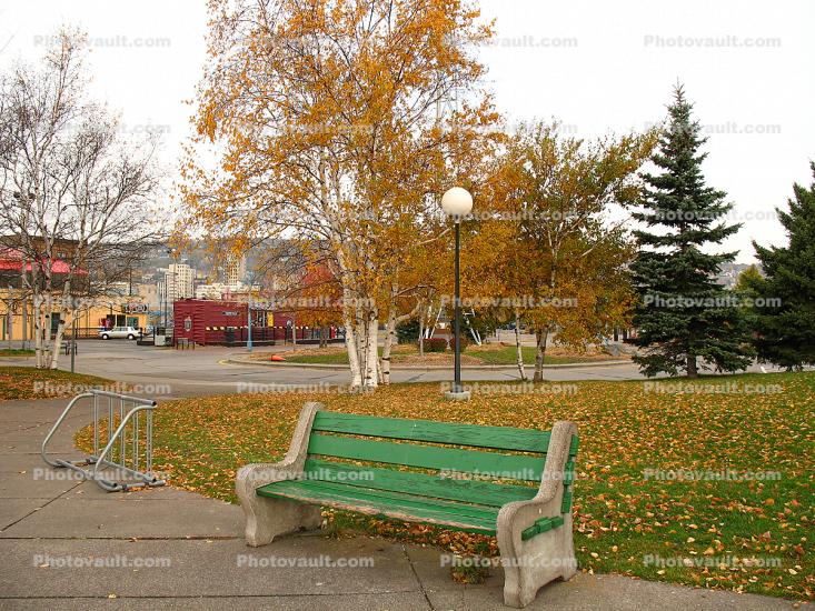 Empty Bench, Park, Leaves, Trees, fall colors, Autumn, Vegetation, Flora, Plants, Colorful, Beautiful, Exterior, Outdoors, Outside, peaceful