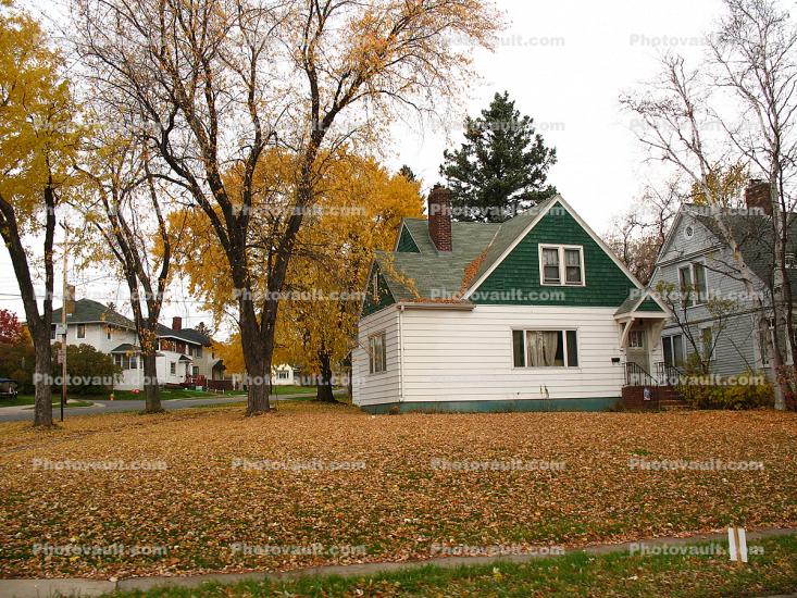 Home, House, Single Family Dwelling Unit, Autumn, Trees, Leaves