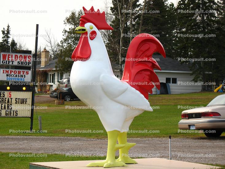 Leviathan Rooster, Weldon's, Huge, chicken, rooster tail, beak, landmark