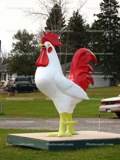 Leviathan Rooster, Huge chicken, rooster tail, beak, landmark