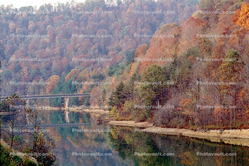 fall colors, Autumn, Trees, Vegetation, Flora, Plants, Colorful, Beautiful, River, Woods, Forest, Exterior, Outdoors, Outside, Bucolic, Rural, peaceful, woodlands, Carr Fork Lake