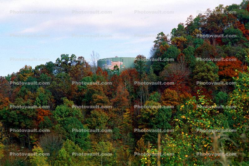 Water Tank, forest, trees, autumn
