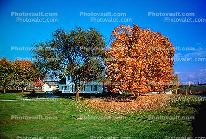 home, house, Building, domestic, domicile, residency, housing, fall colors, Autumn, Trees, Vegetation, Flora, Plants, Woods, Forest, Exterior, Outdoors, Outside, Rural, peaceful
