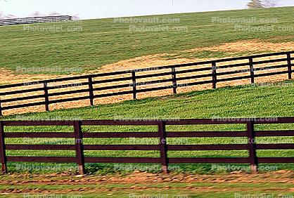 Fence, Grass, Lawn, Lexington