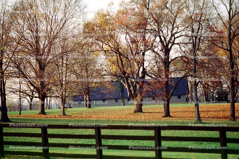 Lexington, Fence, Grass, Lawn