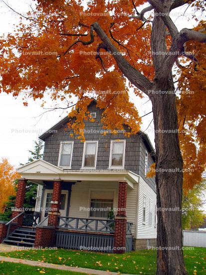 City of Port Huron, Home, House, trees, fall colors, autumn