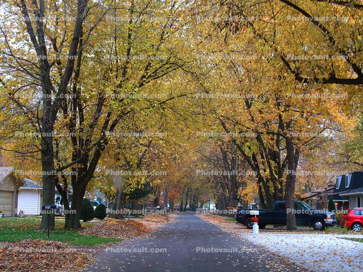 Tree lined street, road, neighborhood, City of Port Huron, autumn
