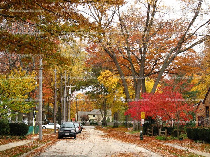 Bay Village, Tree Lined Street, Road, Sidewalk, Home, House, Single Family Dwelling Unit, Autumn, City of Huron Ohio