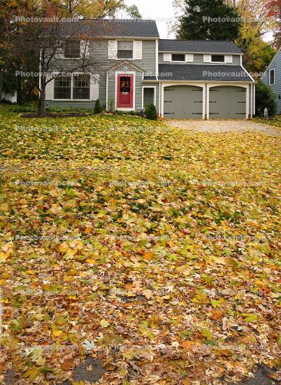 Garage, Frontyard, Leaves, autumn