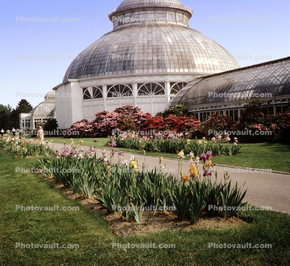 Enid A. Haupt Conservatory, Victorian glasshouse, building, gardens, flowers