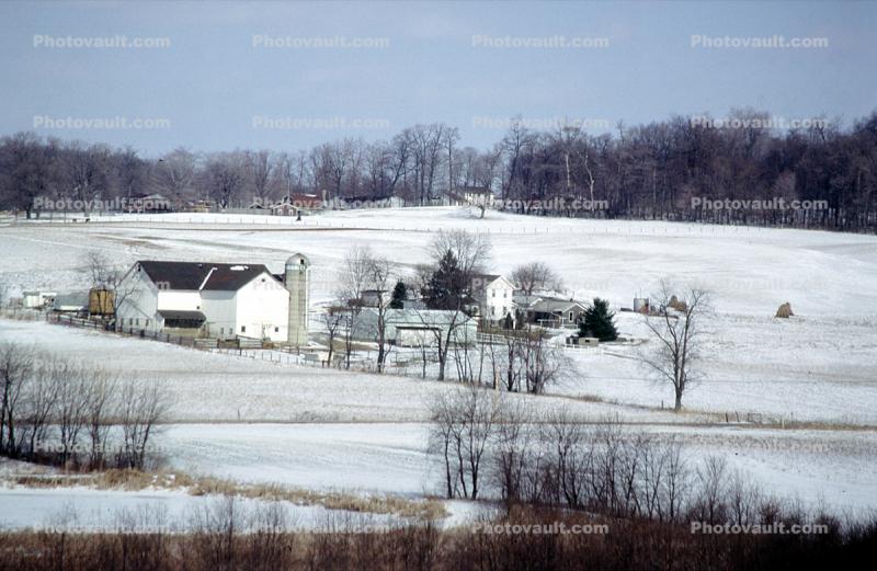 Farm, Silos, Barn, building, outdoors, outside, exterior, rural, home, house, snow fields, cold, ice, bare trees