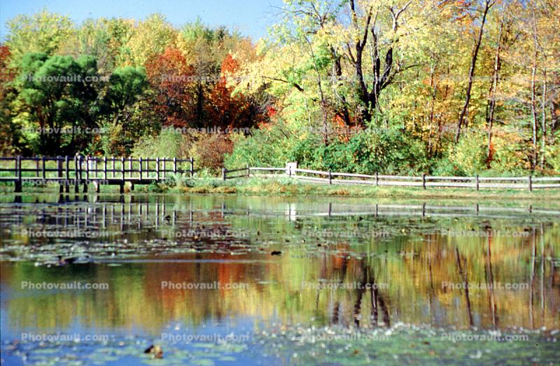 Autumn, Fall Colors, reflection, pond, lake, fence, water, woodlands