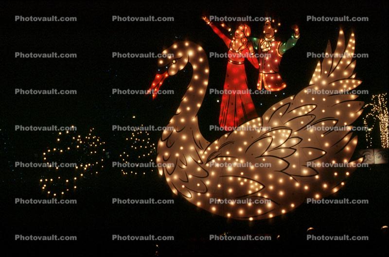 Swan, Christmas lights, figures, decorations