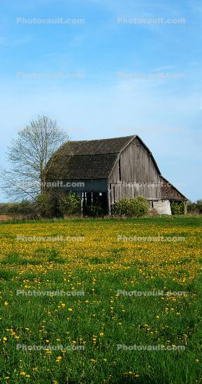 barn, wood, outdoors, outside, exterior, rural, building, Yellow Flower Fields, Door County, Green Bay Peninsula, Wisconsin