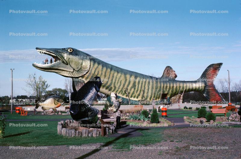National Fresh Water Fishing Hall of Fame, Giant Jumping Muskie Fish, Hayward Wisconsiin, landmark, monument, Sawyer County, 1982, 1980s