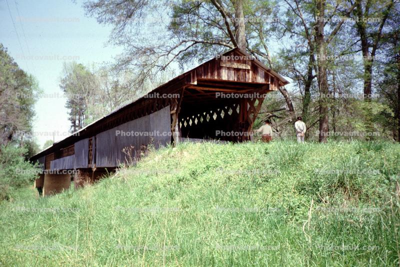 People at Easley Covered Bridge, Forest, Trees