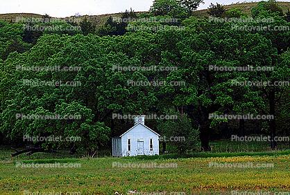 One Room Schoolhouse, buildings, trees, forest