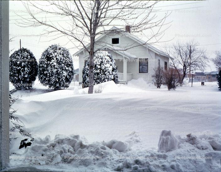 Winter, home, house, building, bush, bare tree, snow, ice, cold, Frozen, Icy, Single family dwelling unit, housing, New Brotherhood, April 1958, 1950s