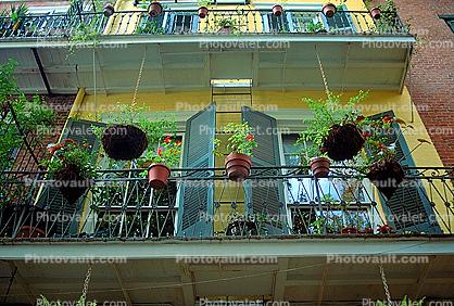 Balcony, shutters, hanging plants, French Quarter