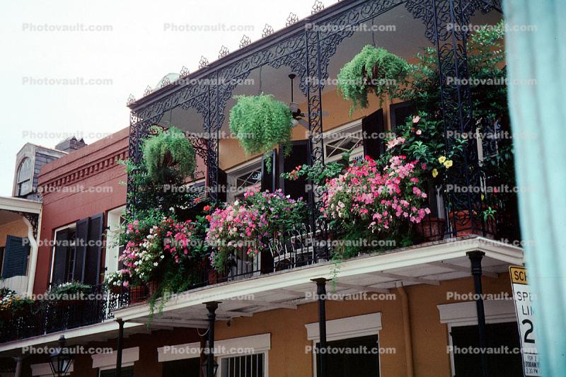 Balcony, Flowers, French Quarter