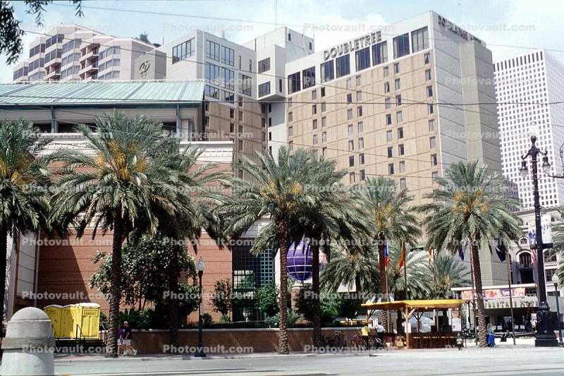 Doubletree Building, Downtown, Palm Trees, the French Quarter