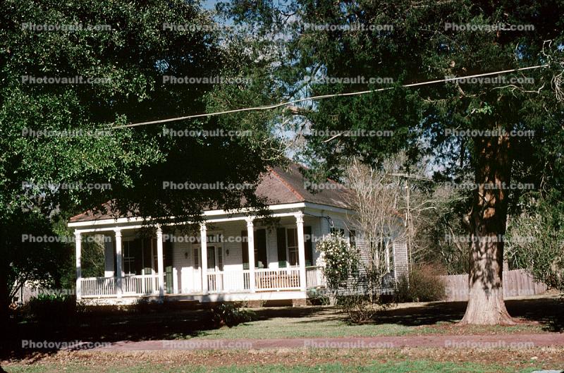 Home, Porch, Trees, Saint Francisville, 1950s