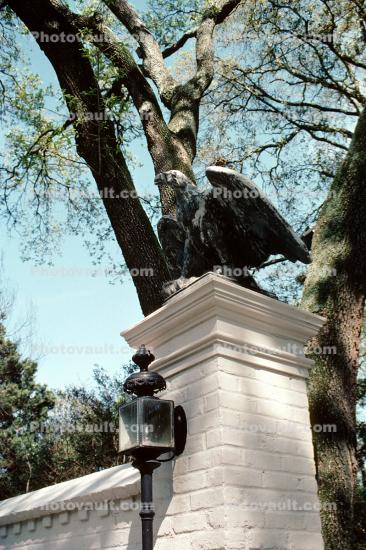 Longue Vue House, Eagle Sculpture, statue