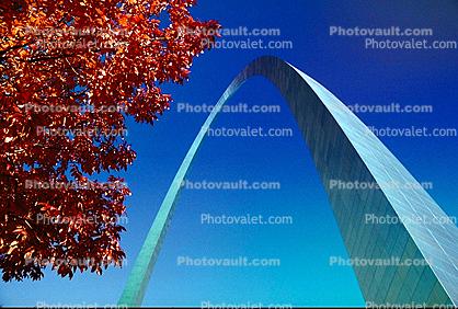 The Gateway Arch, looking-up, tree