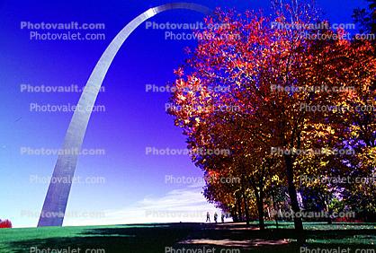 The Gateway Arch, tree, autumn