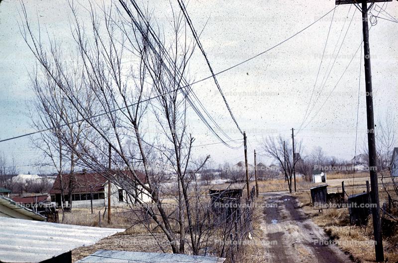 dirt road, bare trees, ice, cold, rural poverty, outhouse, shacks, hut, 1962, 1960s