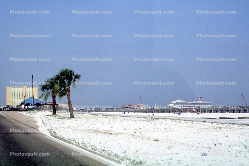 Beach, Sand, Palm trees, Gulfport