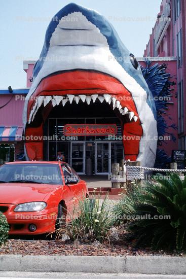 Sharkheads Souvenir Store, Great White Shark, Biloxi, landmark