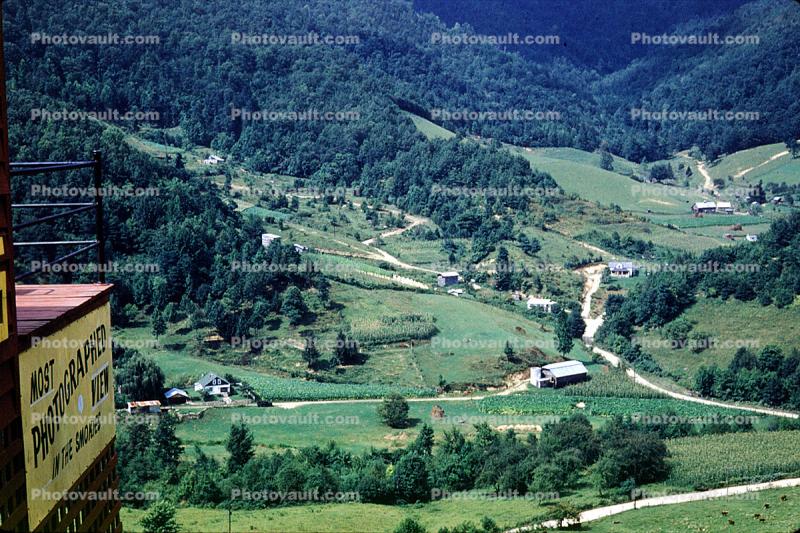 Valley, roads, forest, August 1959