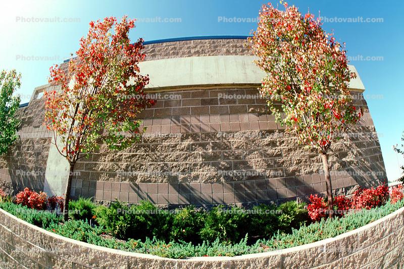 Brick Building, Trees, 22 October 1993