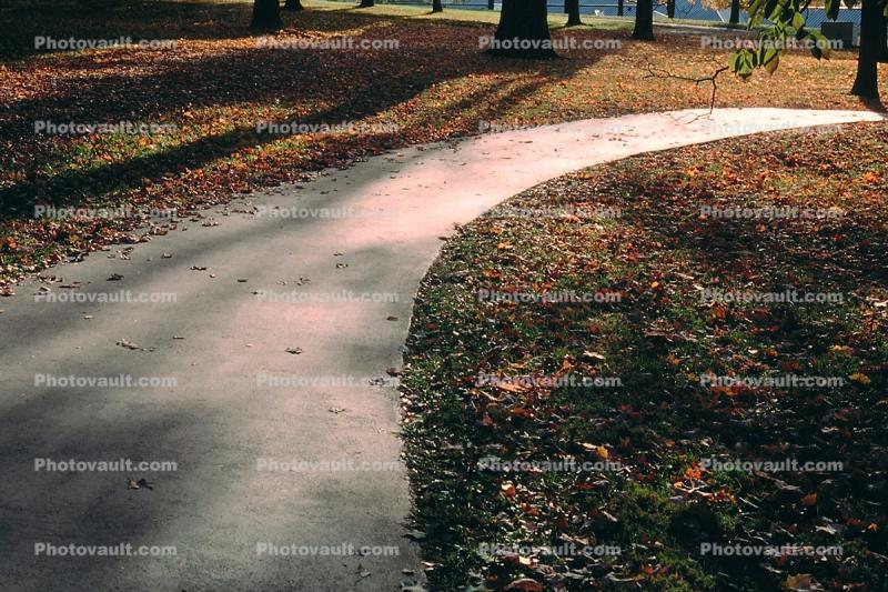 TCurvy Path, Walkway. Path, curve, he Hermitage, Leaves