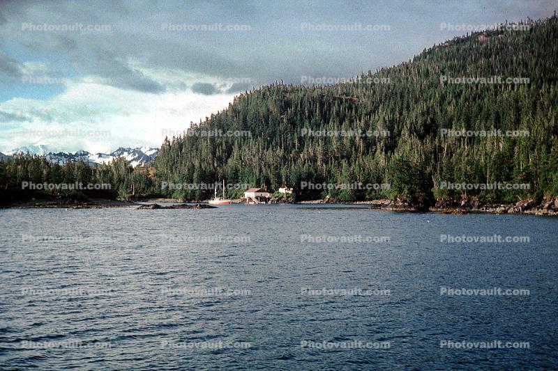 Prince William Sound, near Valdez, harbor, forest, woodlands