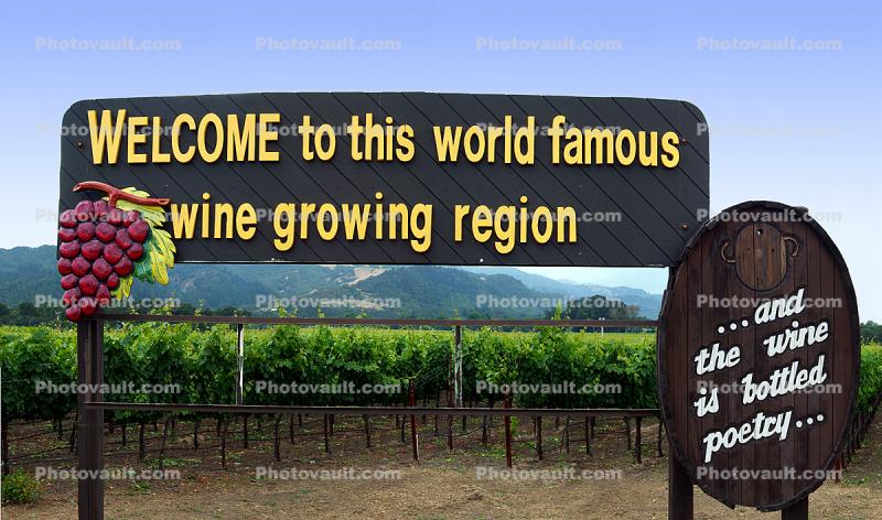 Welcome to this world famous wine growing region