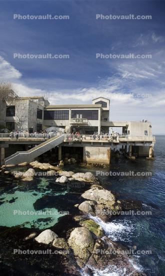 Monterey Bay Aquarium, Monterey Bay
