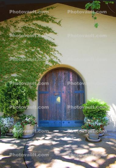 Arch Doorway, Ivy, Tree Shadow, Napa Valley