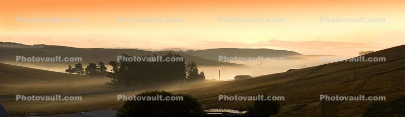 Early Morning, Fog, Two-Rock Panorama