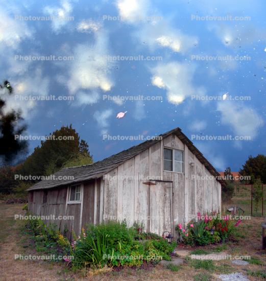 surreal Shed, Two-Rock, Sonoma County