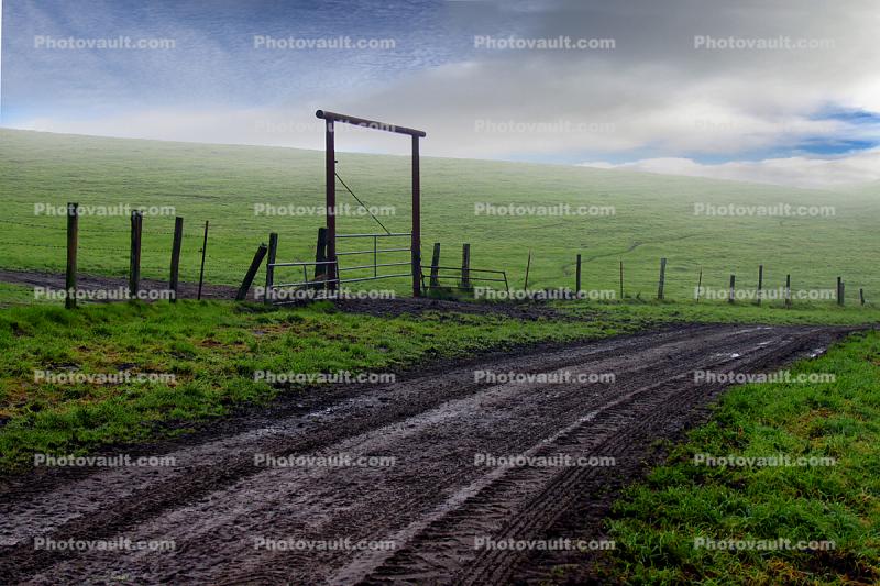 Road, Gate, Fence, Fields, Two-Rock, Sonoma County