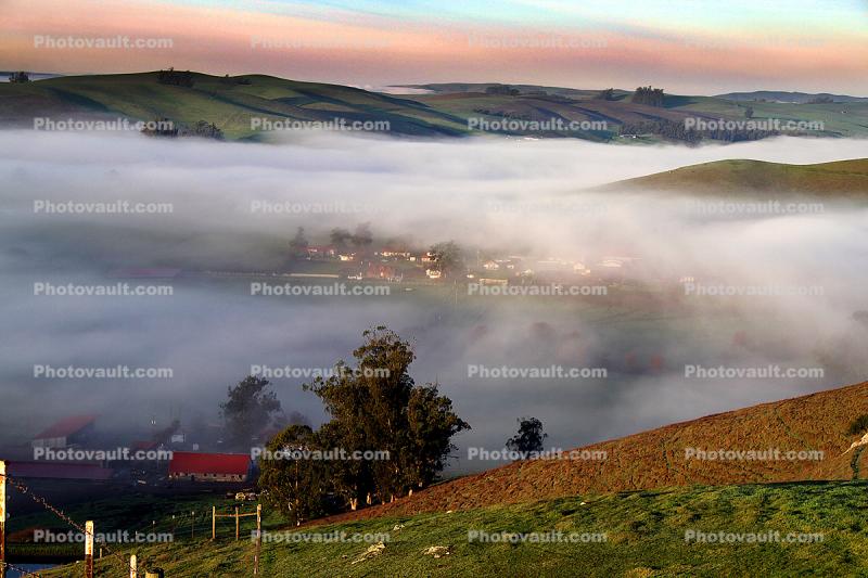 Fog, Fence, Valley, Hills, Two-Rock, Sonoma County