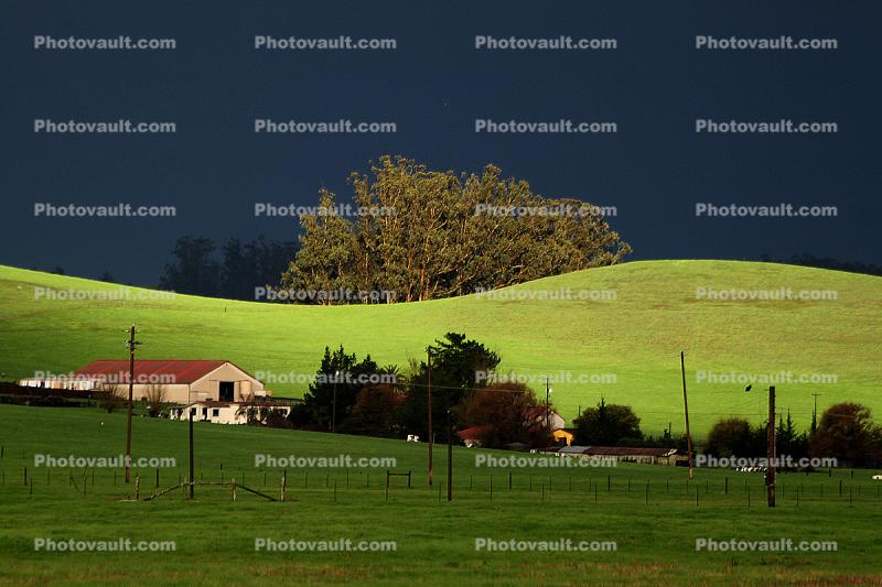 Hills, Building, Shed, trees, Two-Rock, Sonoma County